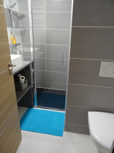 Mont-SaxonnexChalet neuf 6 personnes的带淋浴的浴室(铺有蓝色地板)