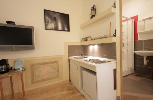 萨格勒布莱西旅馆的一个带水槽的小厨房和墙上的电视
