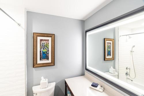 查尔斯顿安德鲁平克尼酒店的一间带卫生间和大镜子的浴室