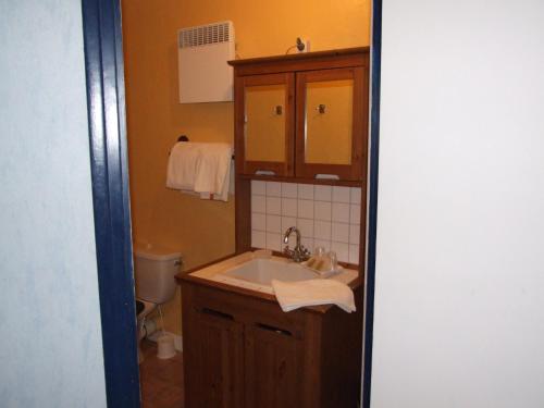 卡代阿克Hôtel du Val d'Aure的一间带水槽和卫生间的浴室