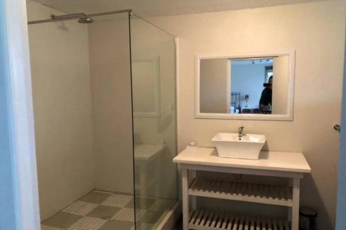 MalgasStaples House - Living The Breede的一间带水槽和玻璃淋浴的浴室