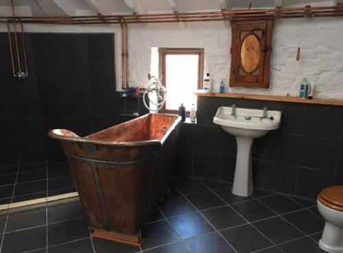 蒙特罗斯Montrose Watertower的浴室配有大型锈蚀浴缸和水槽