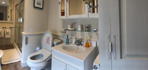 楠塔基特29 India House的白色的浴室设有卫生间和水槽。