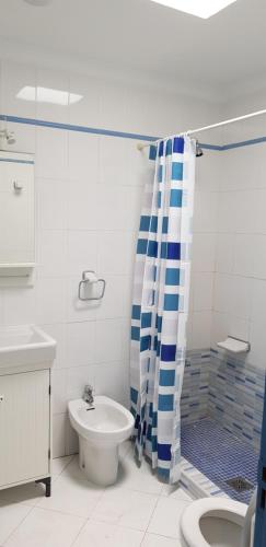 卡门港Viviendas Las Vistas的浴室设有蓝色和白色的浴帘和卫生间