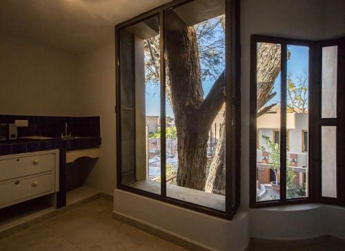 圣米格尔-德阿连德Casa Naré Adults Only的一间带两扇窗户和一棵树的浴室