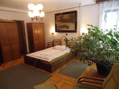 圣安德烈科拉潘兹酒店的植物间内一间卧室,配有一张床