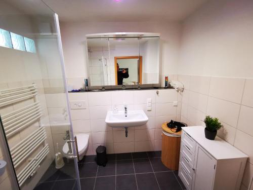 HunswinkelFerienappartement -Hof Baum的一间带水槽、卫生间和镜子的浴室