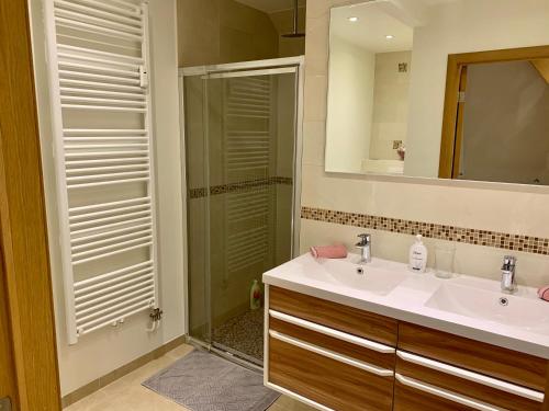 布鲁塞尔Appartement Chez Agnes的浴室配有盥洗盆和带镜子的淋浴