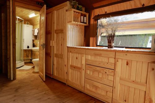 UlʼyanikiГлемпінг Шатро的一间带木制橱柜、窗户和卫生间的浴室