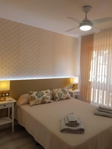 莱昂Ordoño II Suites con Aire Acondicionado y Wifi的一间卧室配有带毛巾的床