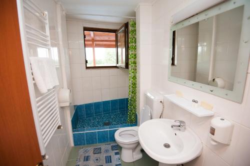 杜纳厄图德乔斯Pensiunea Califar的一间带水槽、卫生间和镜子的浴室