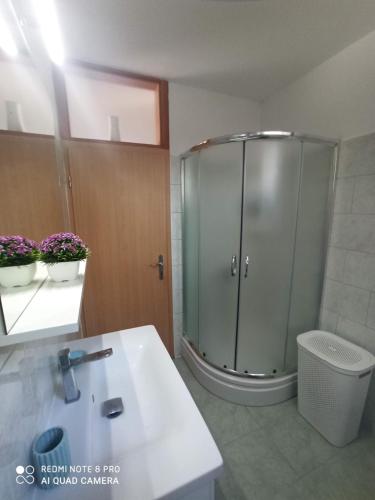 古维达里Apartment Glavica的带淋浴、卫生间和盥洗盆的浴室