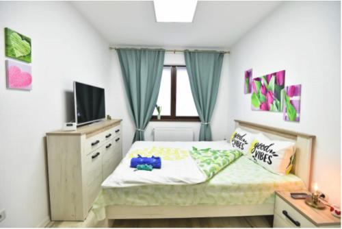 布拉索夫Good Vibes Apartament的一间小卧室,配有一张床和电视