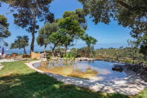 贝特奥伦Mantur Beit Oren by Selina的树木繁茂的公园里的一个水泳池