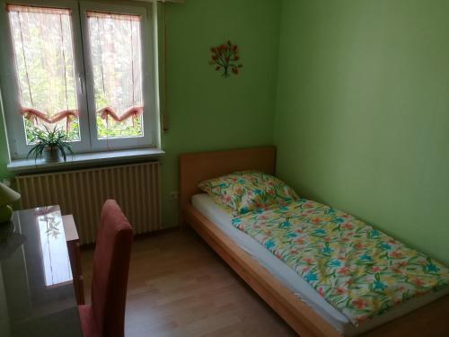 辛斯海姆Am Mühlbach的一间小卧室,配有床和2个窗户