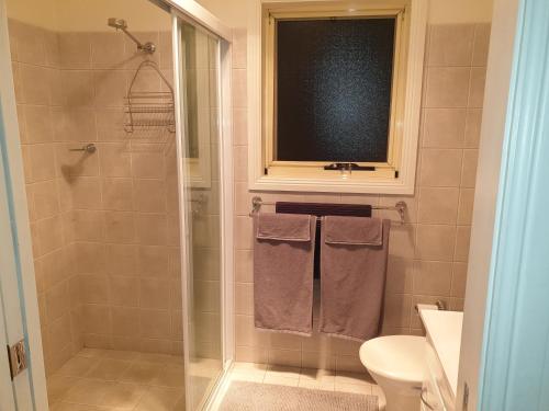 金德拜恩Lakeside Studio的带淋浴和卫生间的浴室以及窗户。