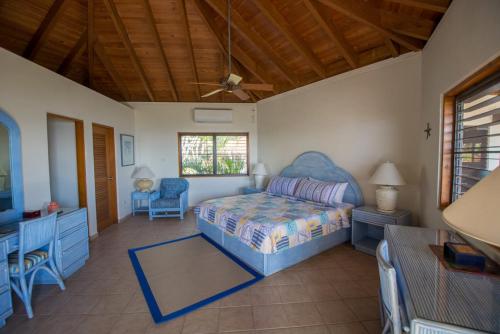 维尔京戈尔达岛LOBLOLLY的一间卧室配有一张床和一张书桌