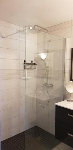 盖塔里GUETHARY APPARTEMENT PLAIN PIED PROCHE PLAGE CENITZ的浴室里设有玻璃门淋浴