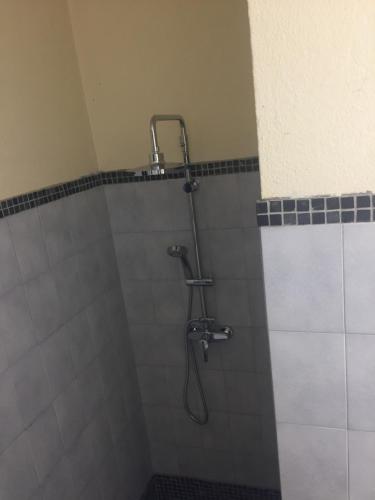 文蒂塞里gîtes de corse的浴室内带软管的淋浴