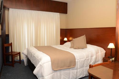 科洛尼亚-德尔萨克拉门托里昂西亚酒店的酒店客房配有一张床铺和一张桌子。