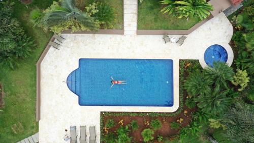 福尔图纳La Finca Lodge的后院游泳池的顶部景色
