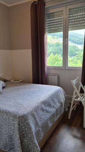 阿莫雷维耶塔-埃查诺彼得 - 翁多旅馆的一间卧室配有一张床和一个带椅子的窗户