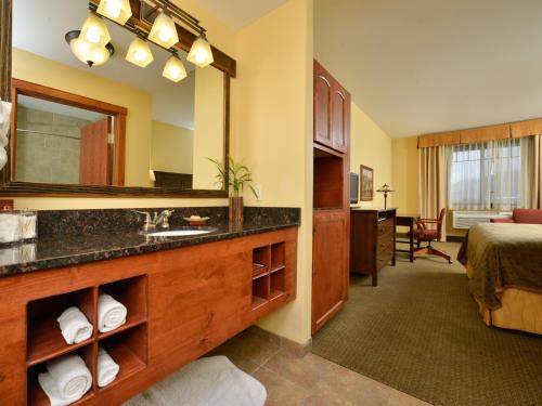 科迪科迪酒店的一间位于酒店客房内的带水槽和镜子的浴室