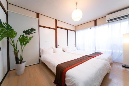 四日市Yokkaichi Nishishinchi Hotel的一间卧室设有两张床和盆栽植物