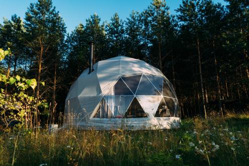 苏普拉希尔Glamping Drzwi Do Lasu的草地上的玻璃圆顶帐篷