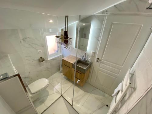 阿让Le Bistrot - Au Coeur d'Agen - Self Checkin - Wifi - Netflix - Smart TV - Luqs fr的带淋浴、卫生间和盥洗盆的浴室