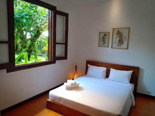 梭罗维拉阿坎因旅馆的卧室配有白色的床和窗户
