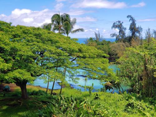 希洛Mauna Loa Shores #405 condo的树木的水域景观