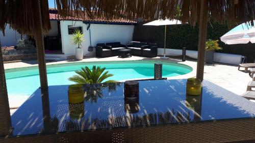 塔尔诺斯Chalet Zure Ondoan - SPA et piscine chauffée的后院内棕榈树游泳池