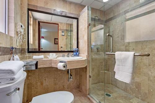 阿瓜斯卡连特斯品质酒店的一间浴室