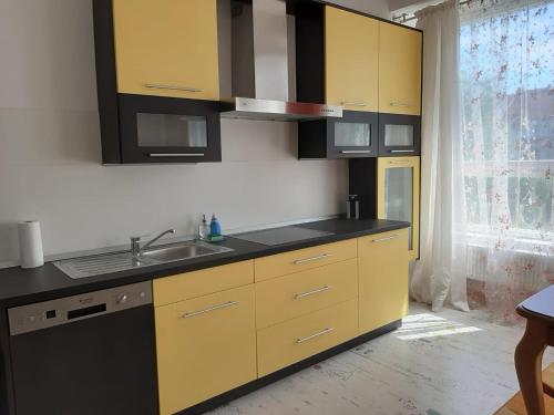 霍穆托夫Žlutý apartmán A6 v Chomutově的厨房配有黄色和黑色橱柜和水槽