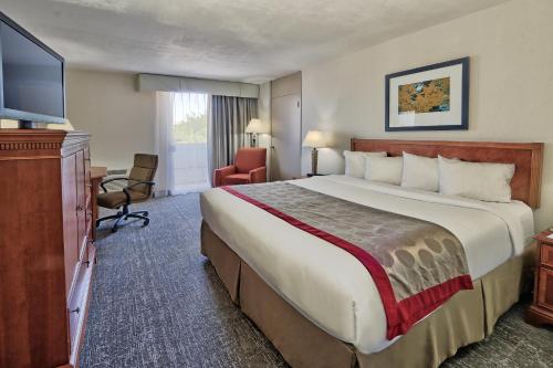 阿尔伯克基MCM埃莱及活动中心酒店的酒店客房设有一张大床和一台电视。