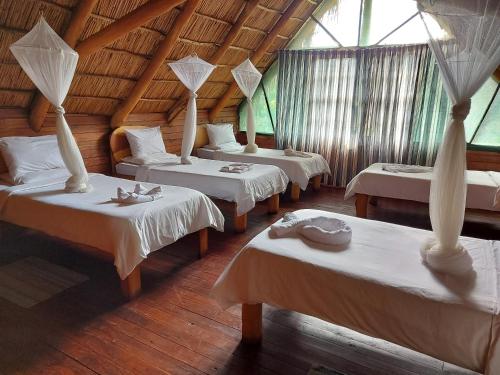 ChizavaneEast Africa Safaris的窗户间内的四张床