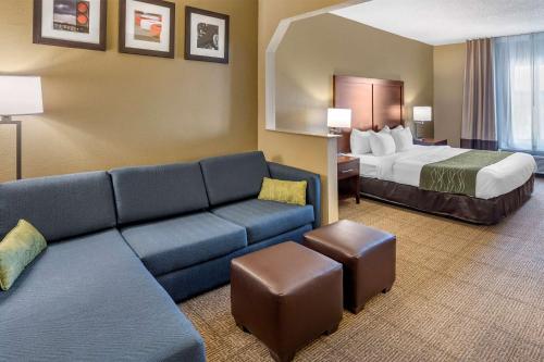 LincolnComfort Inn & Suites的相册照片