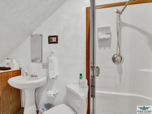 科迪知更鸟巢住宿加早餐旅馆的浴室配有卫生间、盥洗盆和淋浴。