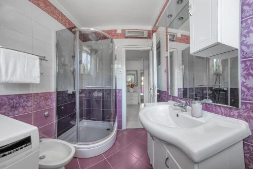 普拉M & M Apartment的一间带水槽、淋浴和卫生间的浴室