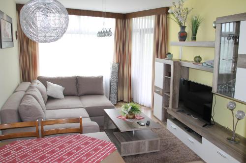 施卢赫湖Apartment Schluchsee的带沙发和电视的客厅