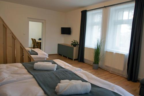 克拉斯纳利帕Apartmány Krásná Lípa的带2扇大窗户的客房内的2张床