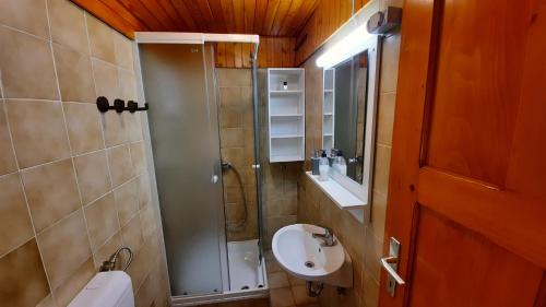 GolnikForrest House的一间带水槽和淋浴的小浴室