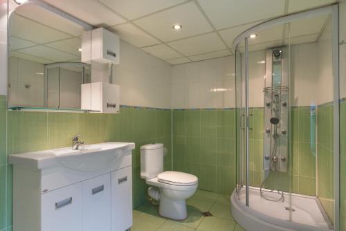 埃伦娜Къща за гости Роден край的浴室配有卫生间、淋浴和盥洗盆。