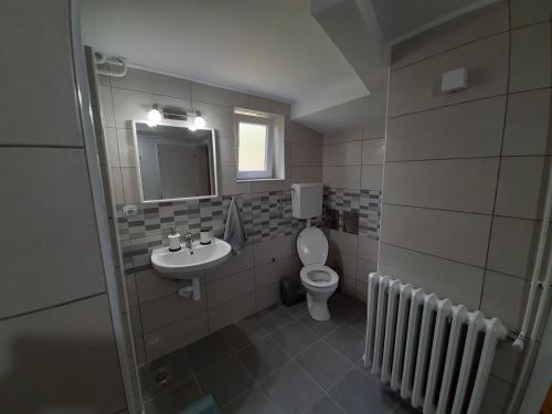 阿然德洛维克Apartman Talija的一间带卫生间和水槽的浴室