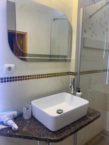 塞尼维斯卡波利亚纳Будинок Художника的浴室设有白色水槽和镜子