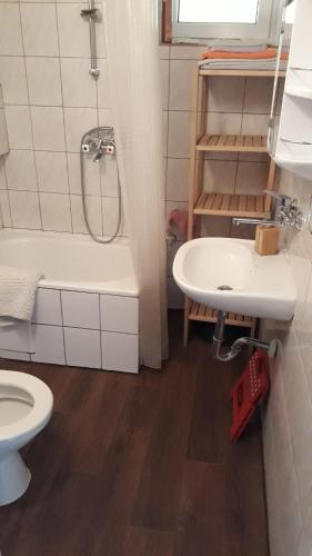 兹维日涅茨Miodowa的浴室配有卫生间、盥洗盆和淋浴。