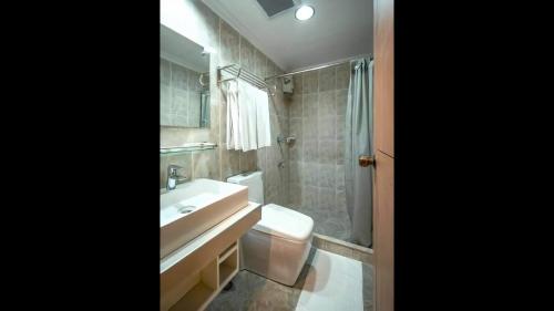 碧瑶帕拉丁酒店的一间带水槽、卫生间和淋浴的浴室