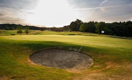 Waldsee Golf-Resort picture 3