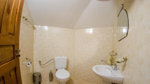 里巴里卡Къща за гости Черна река的一间带卫生间和水槽的浴室